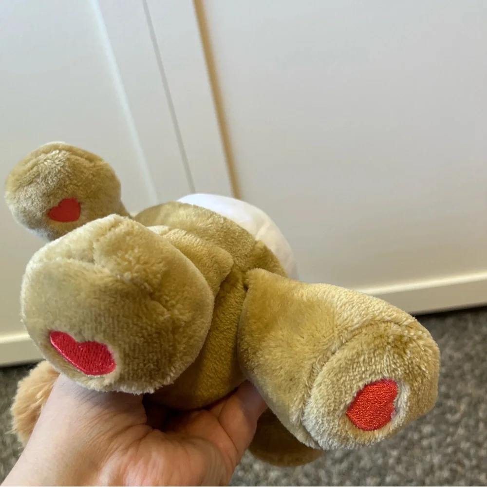 Care Bears Love A Lot Plush Squirrel Hoodie Friends Costume 2021‎ Toy